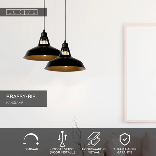 Lucide BRASSY-BIS - Hanglamp - Ø 31 cm - 1xE27 - Zwart - USP